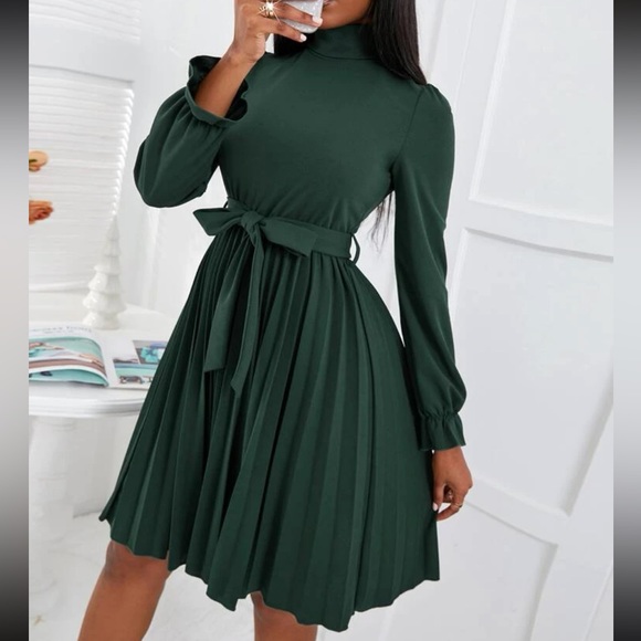 Luxe turtleneck flounce sleeve pleated dress - Picture 6 of 16